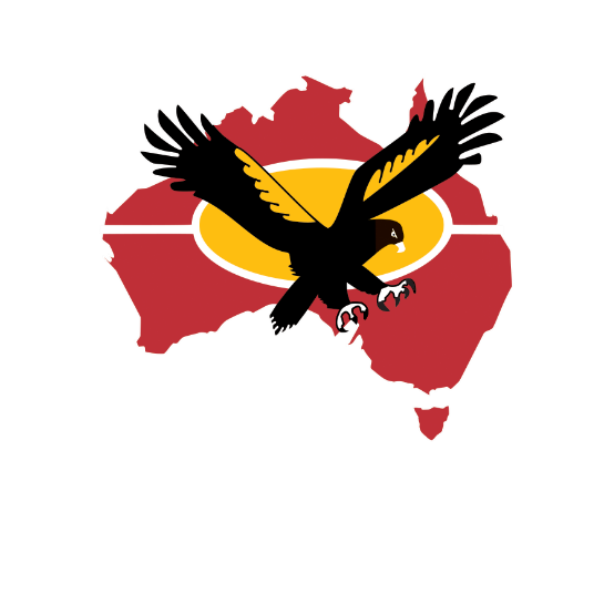 NACCHO logo